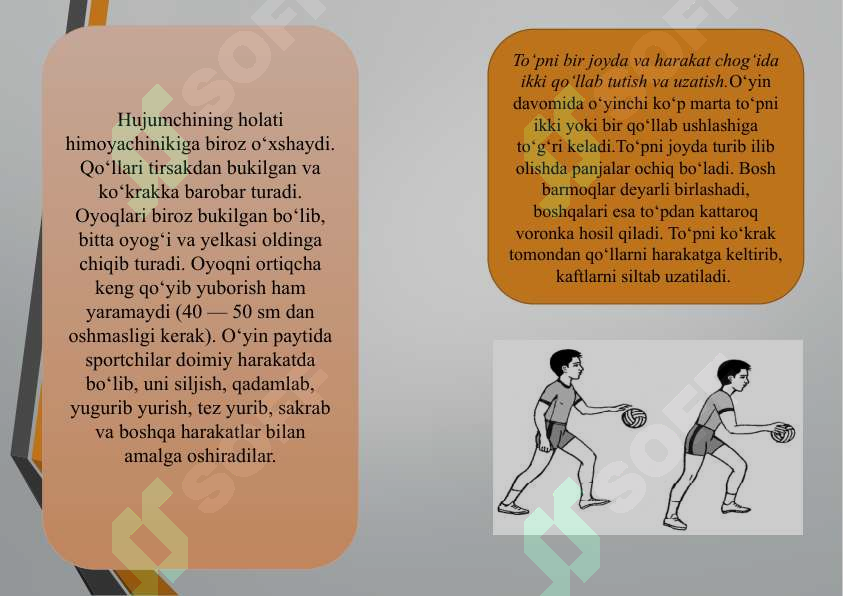 Preview 8