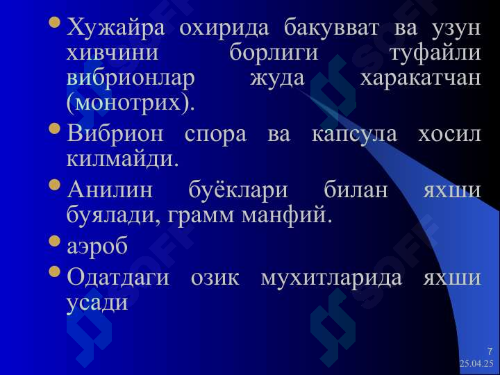 Preview 7