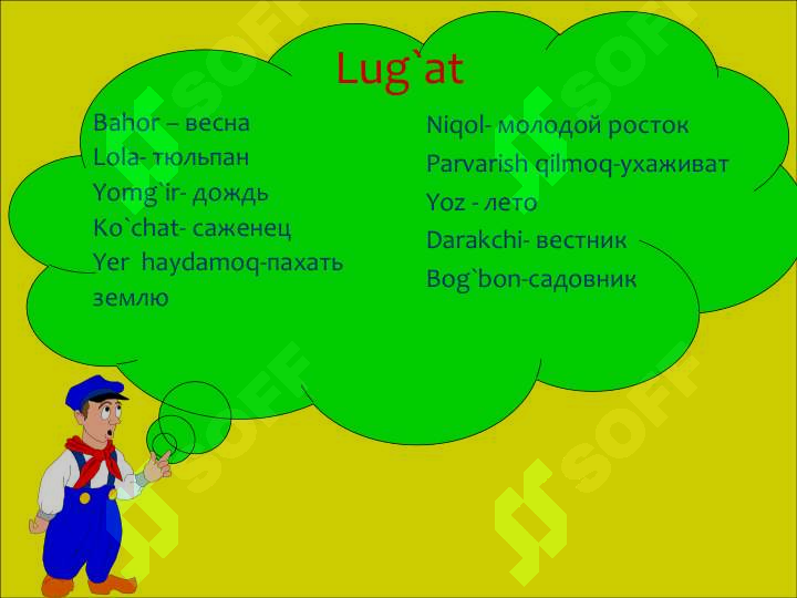 Preview 7