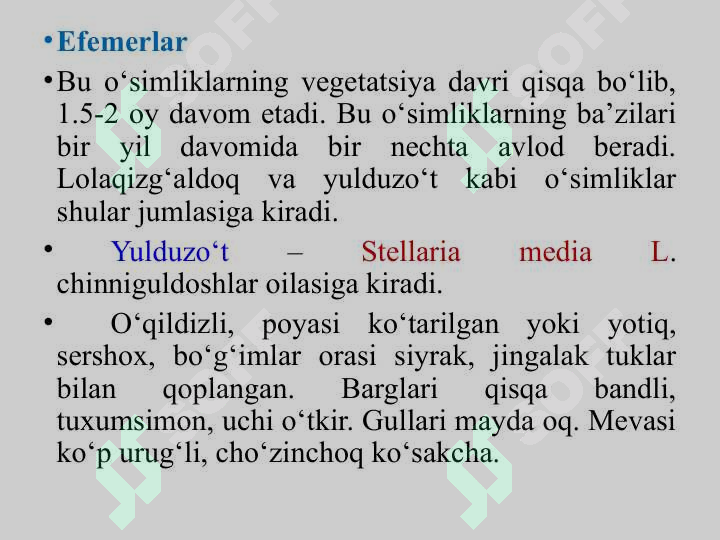 Preview 6