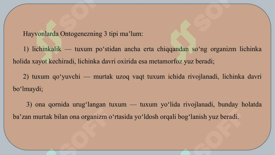 Preview 8