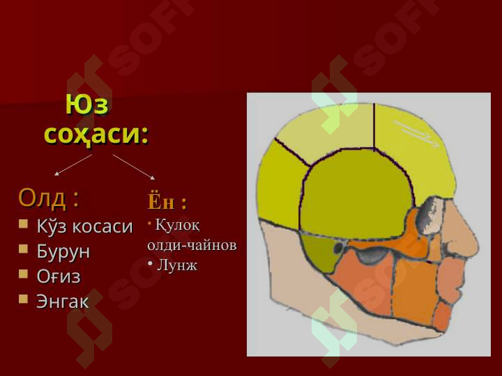 Preview 5