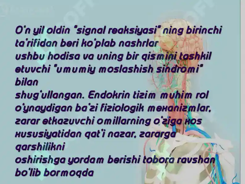 Preview 5