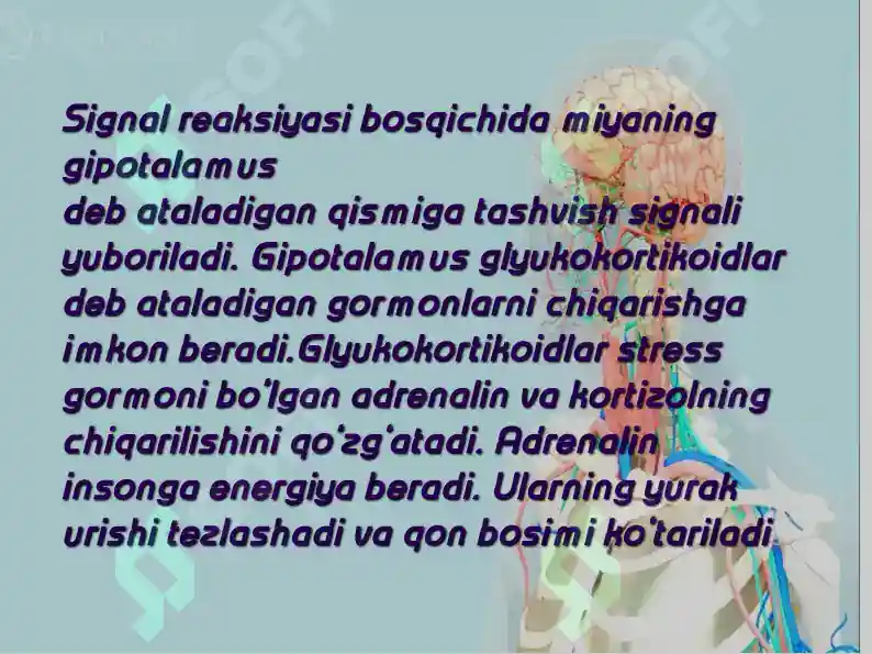 Preview 7