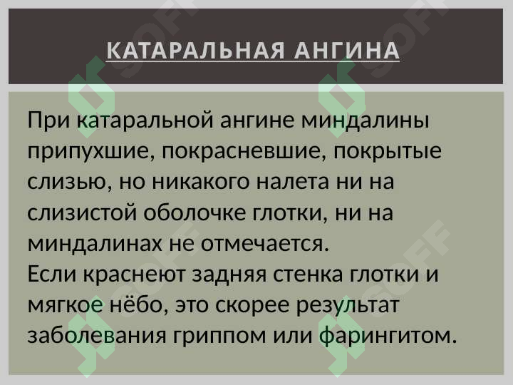 Preview 5