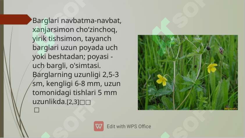 Preview 7