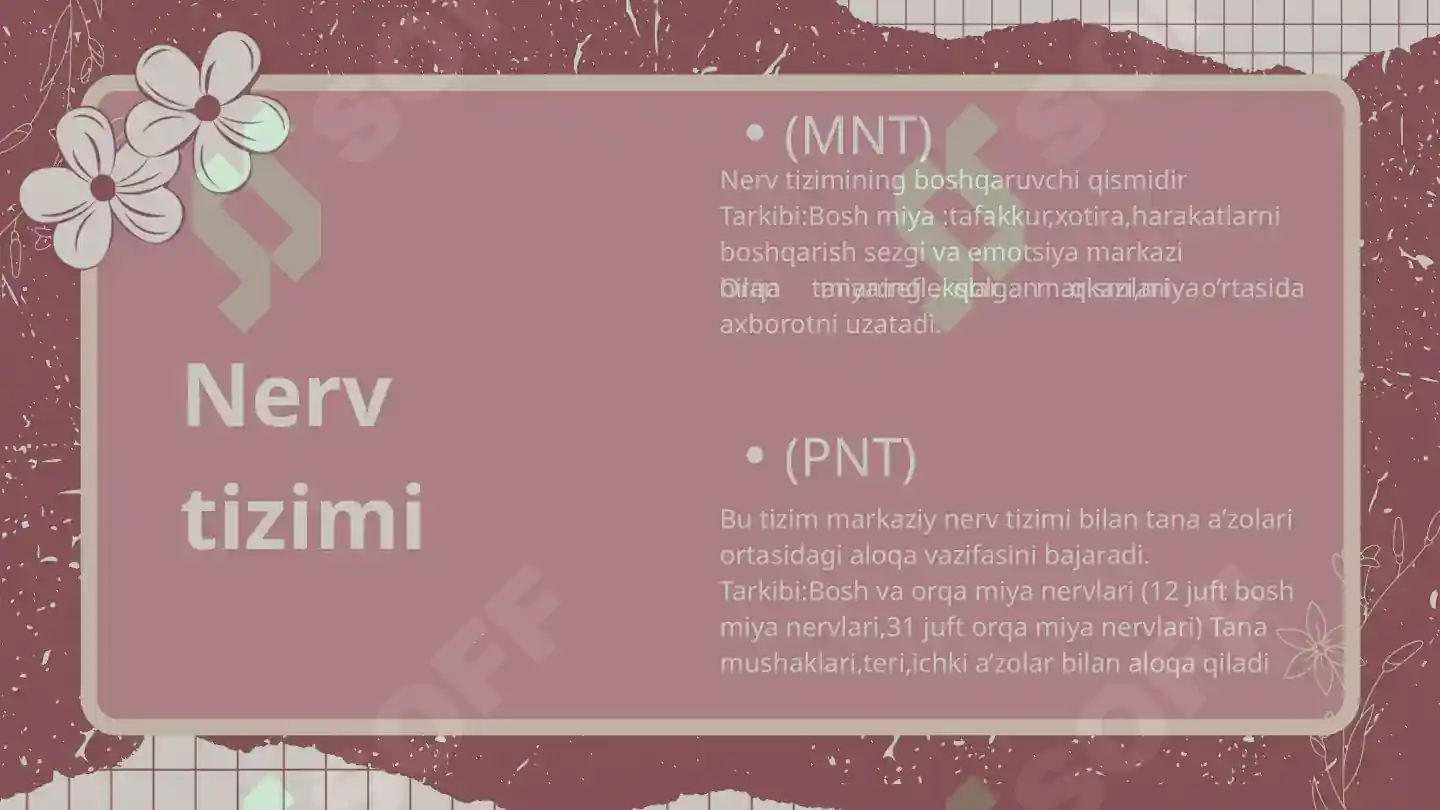 Preview 5