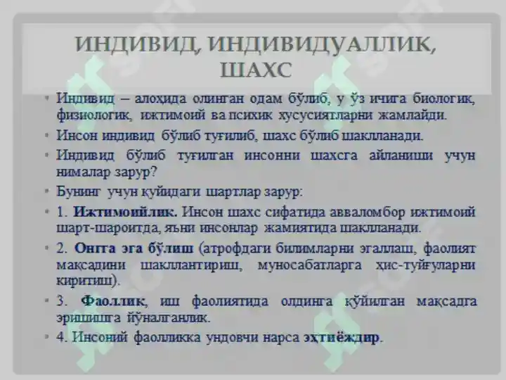 Preview 4