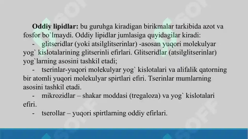 Preview 5