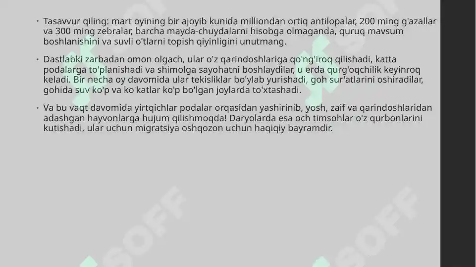 Preview 7