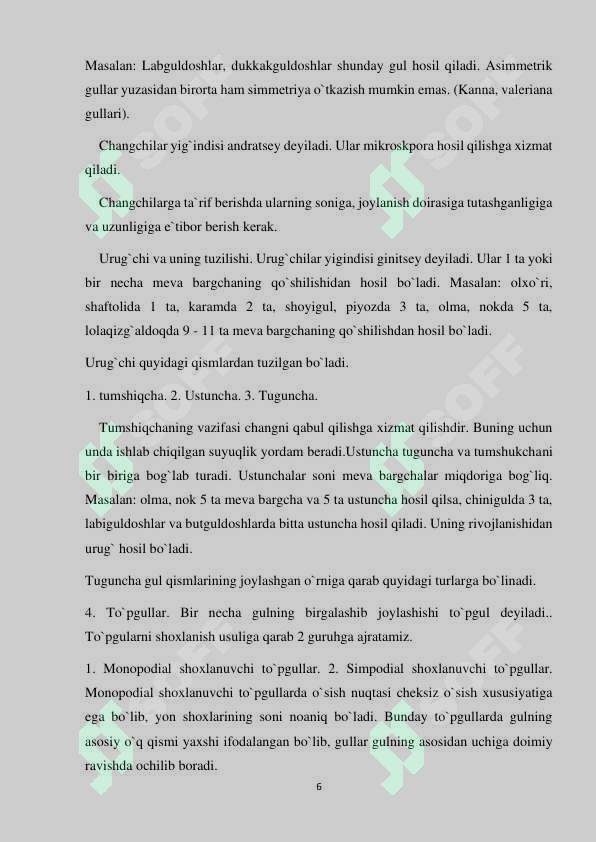 Preview 6