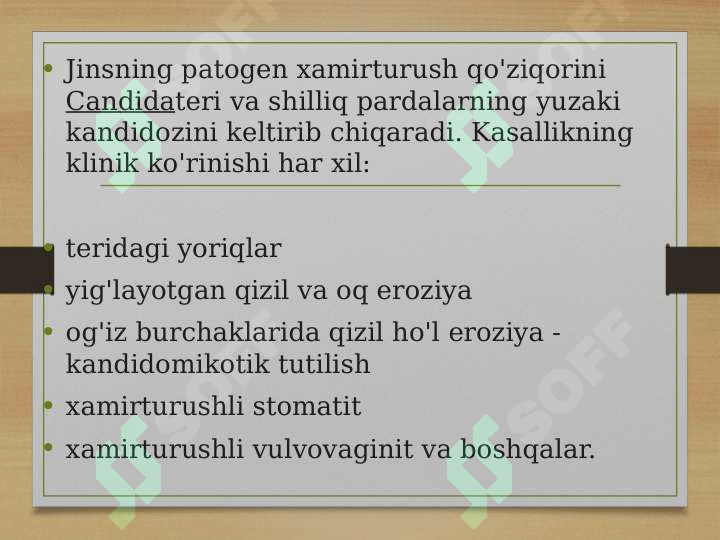 Preview 8