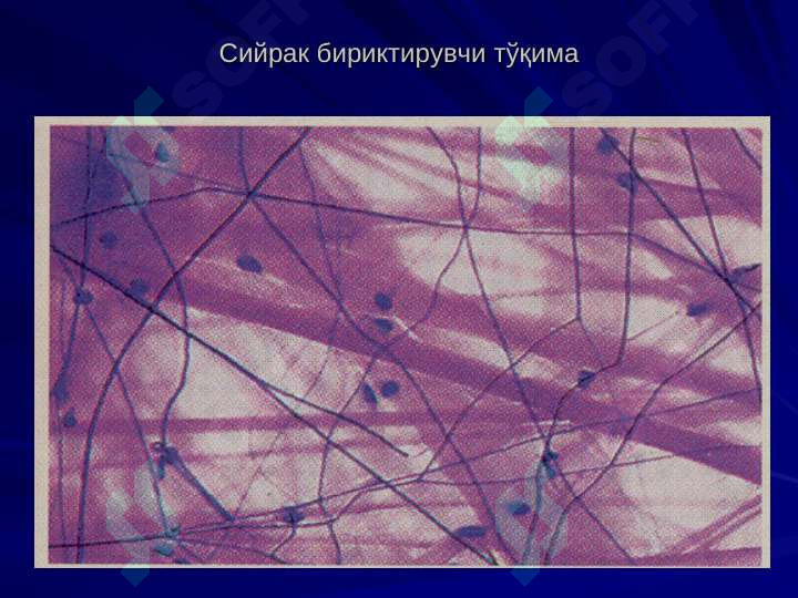 Preview 7