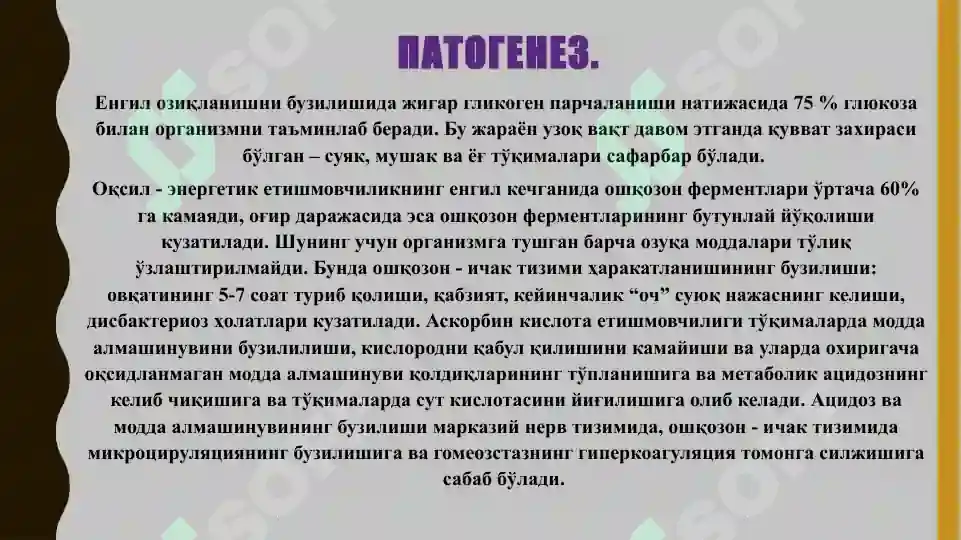 Preview 7
