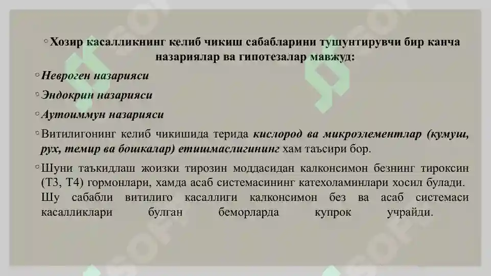 Preview 6