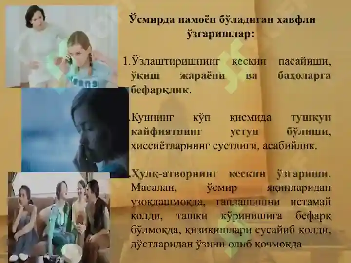 Preview 6