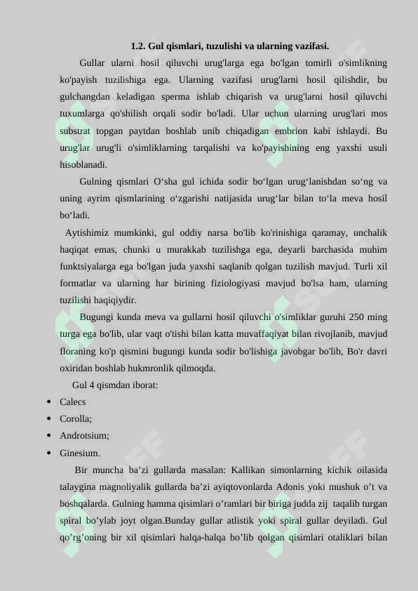 Preview 8