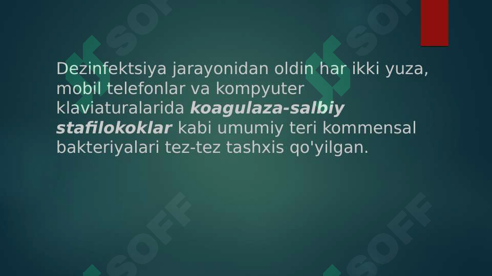 Preview 5