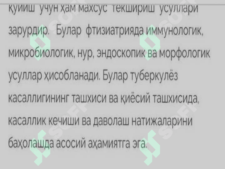 Preview 7