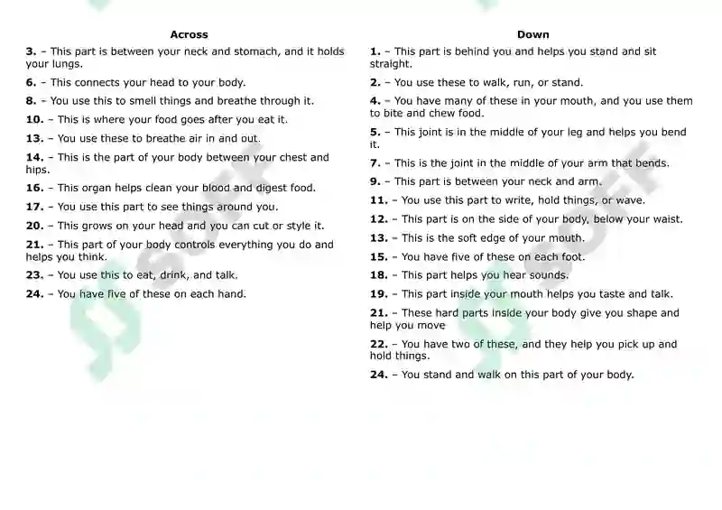 Preview 2