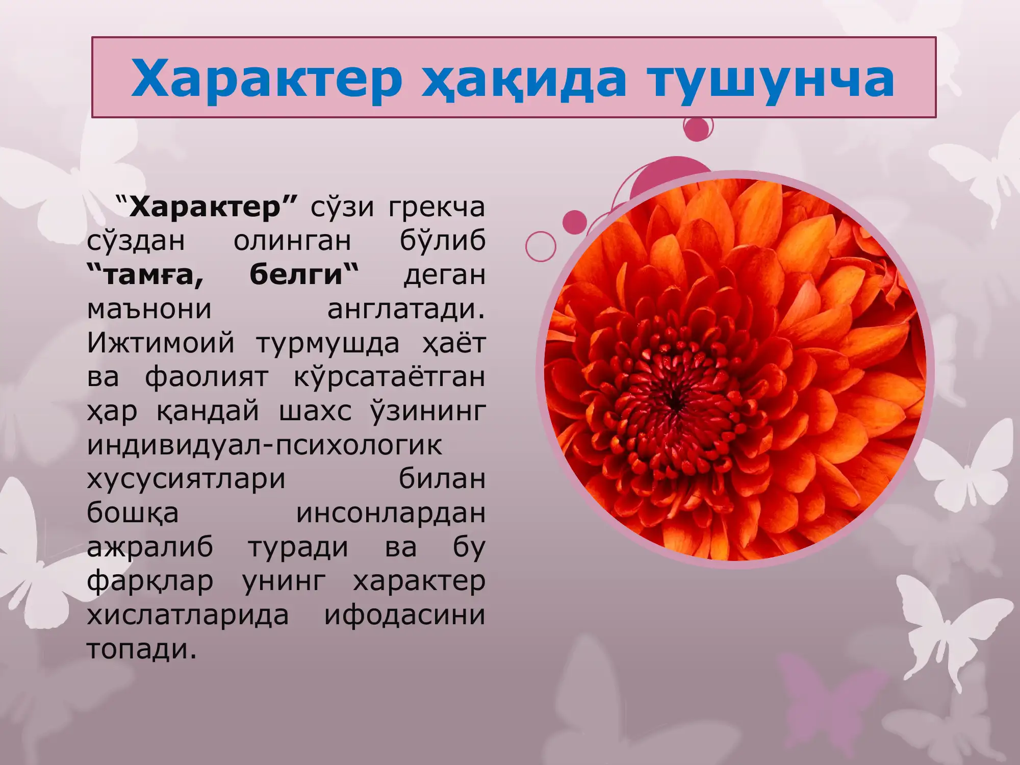 Preview 3