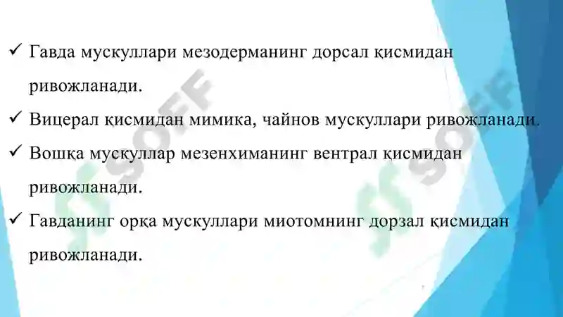 Preview 7