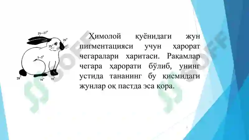 Preview 8