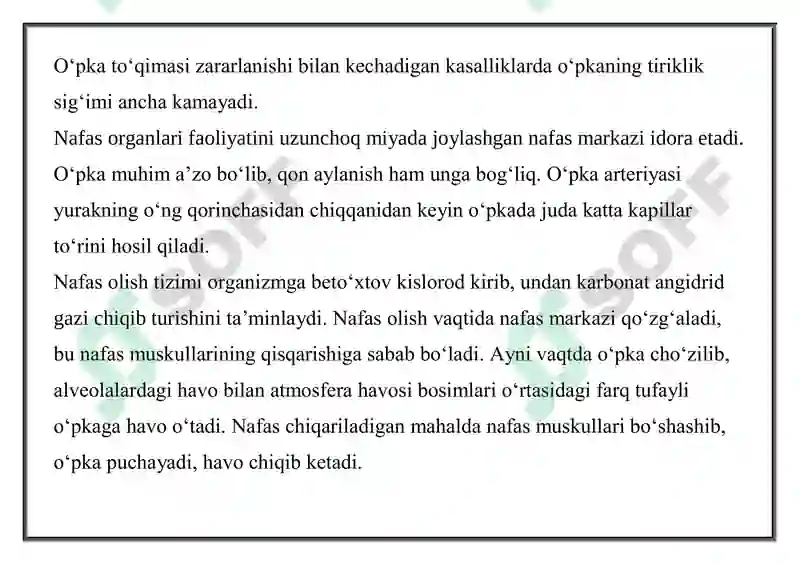Preview 8