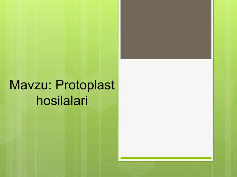 Preview 1