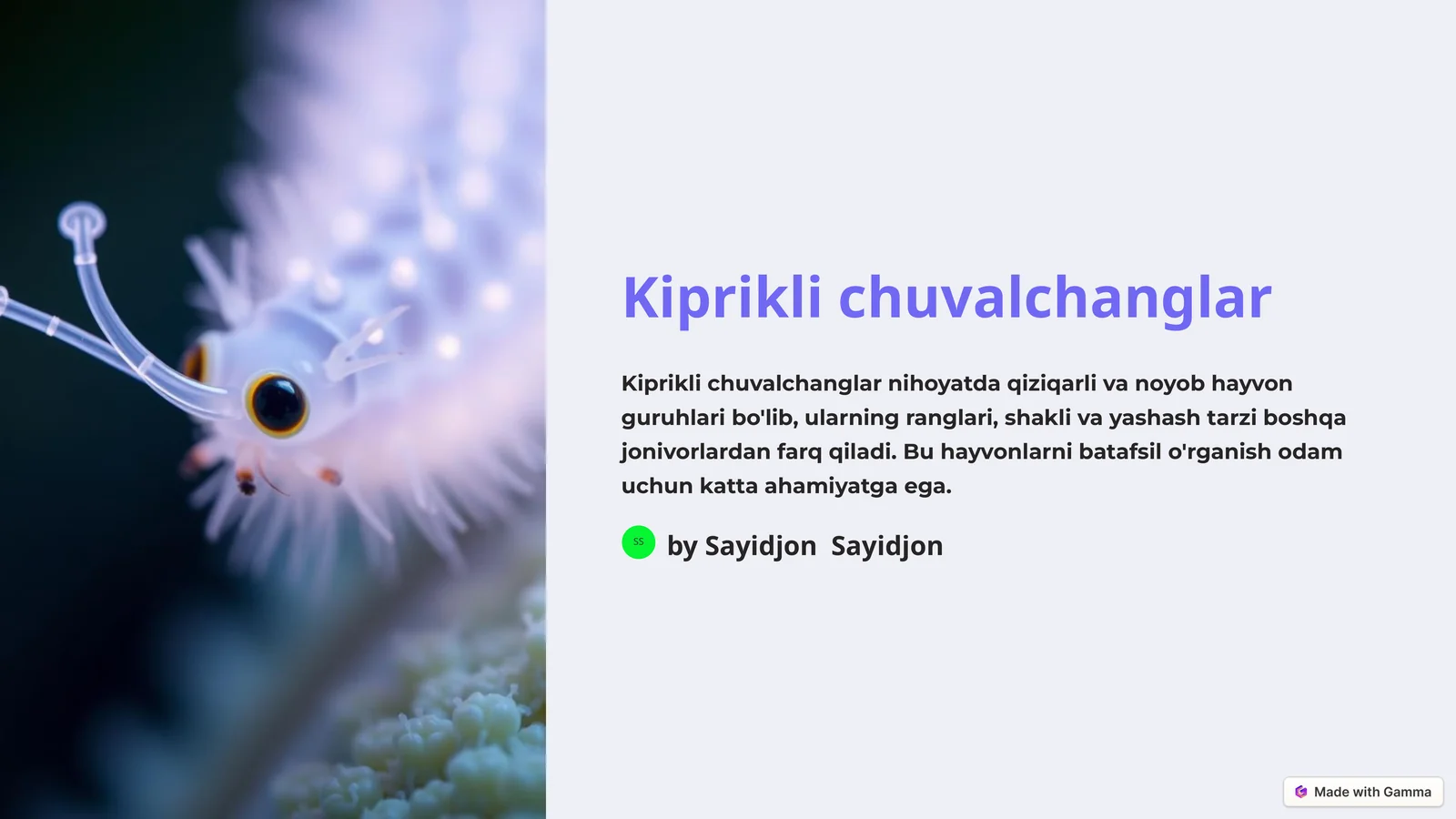 Preview 1