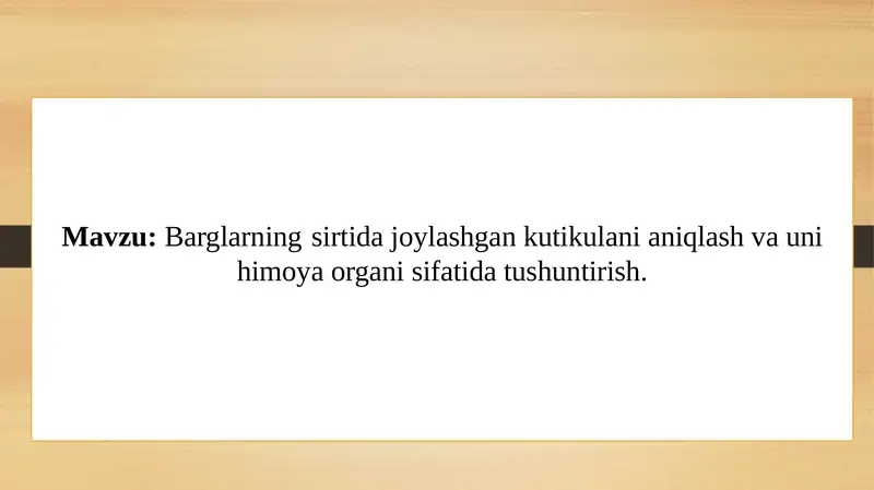 Preview 1
