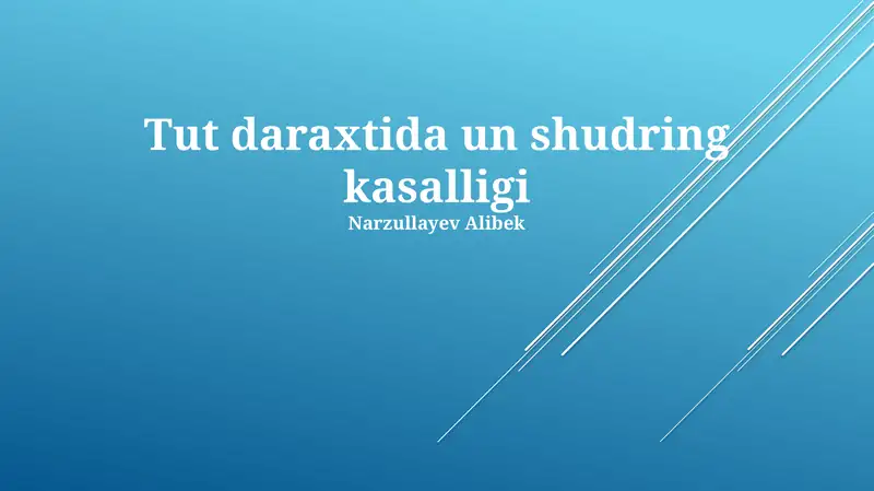 Preview 1