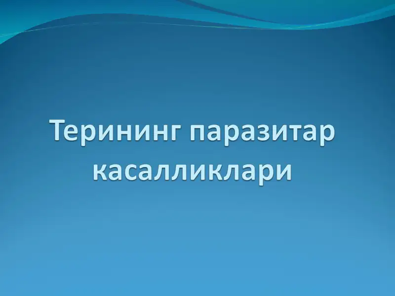 Preview 1