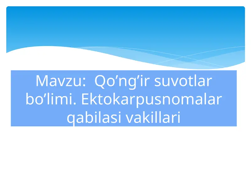 Preview 1