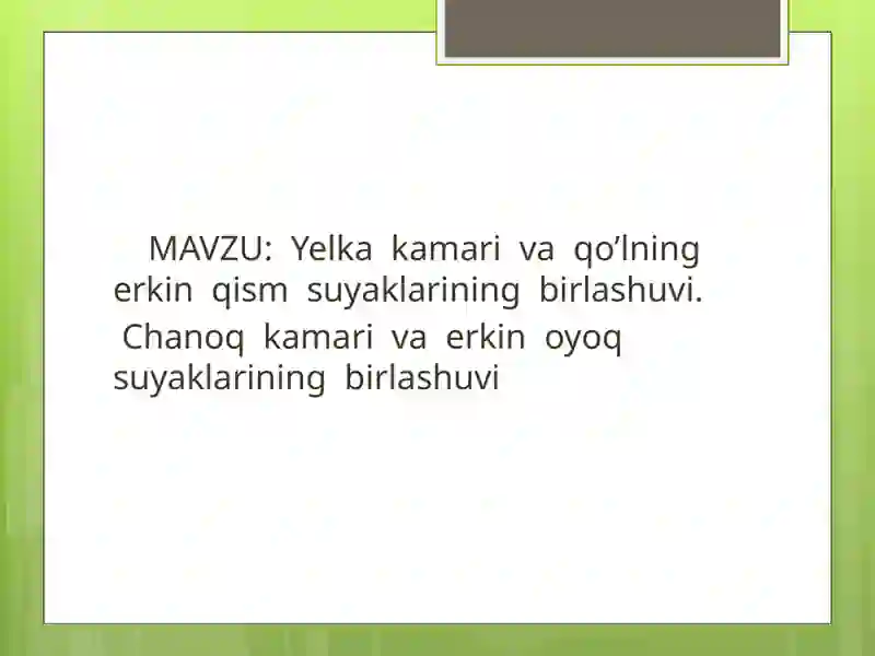 Preview 2