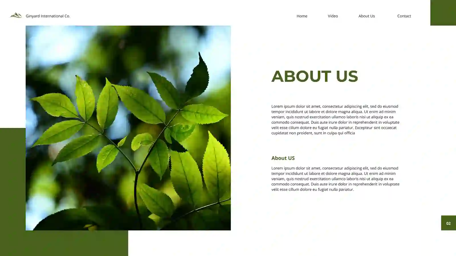 Preview 2