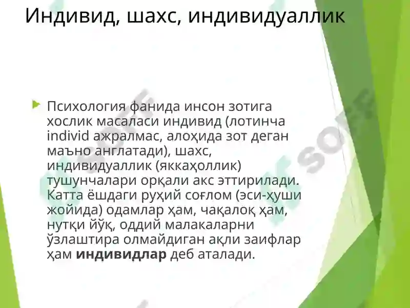 Preview 2