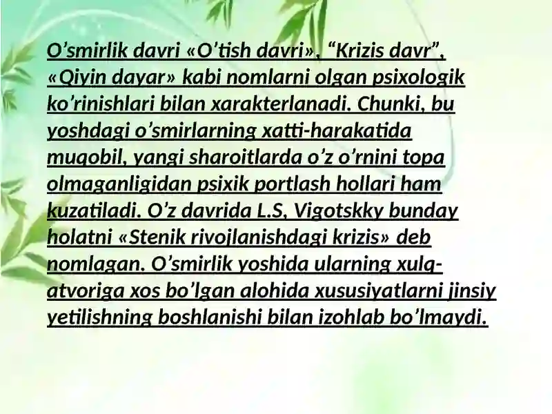 Preview 3