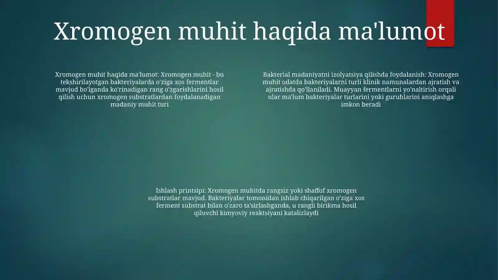 Preview 3