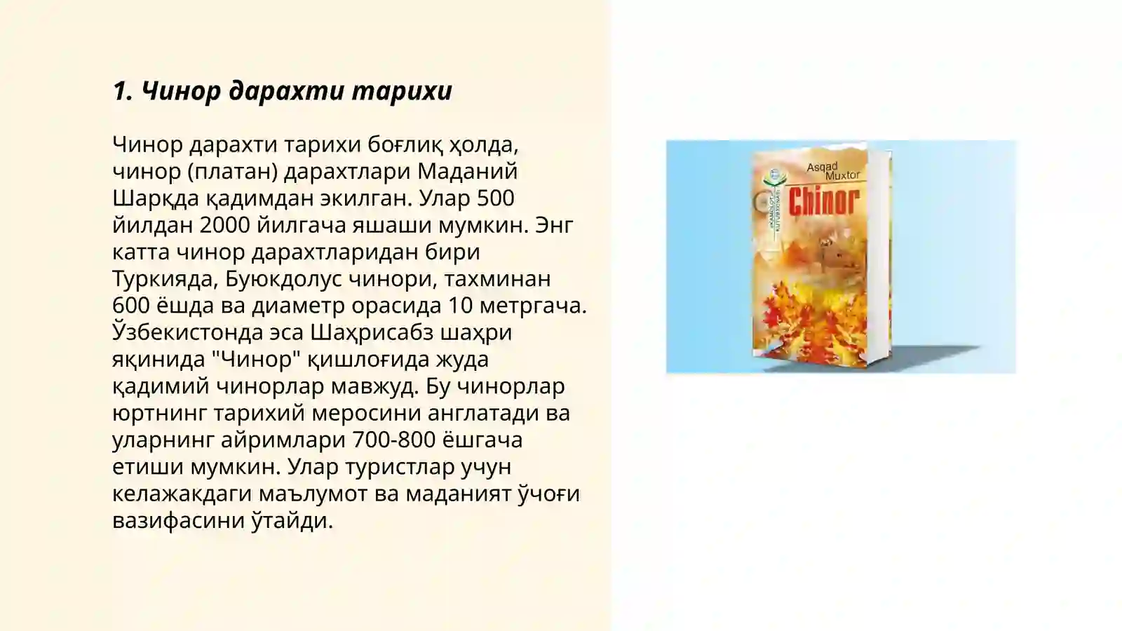 Preview 3