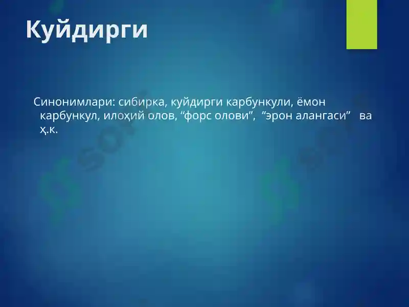 Preview 3