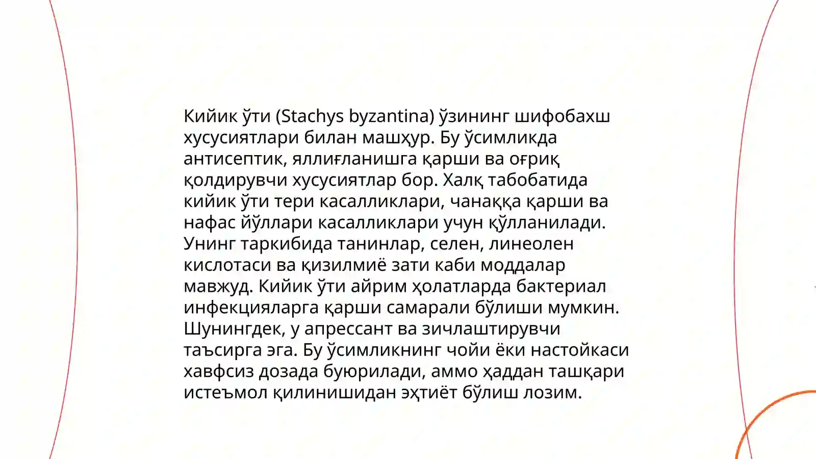 Preview 4