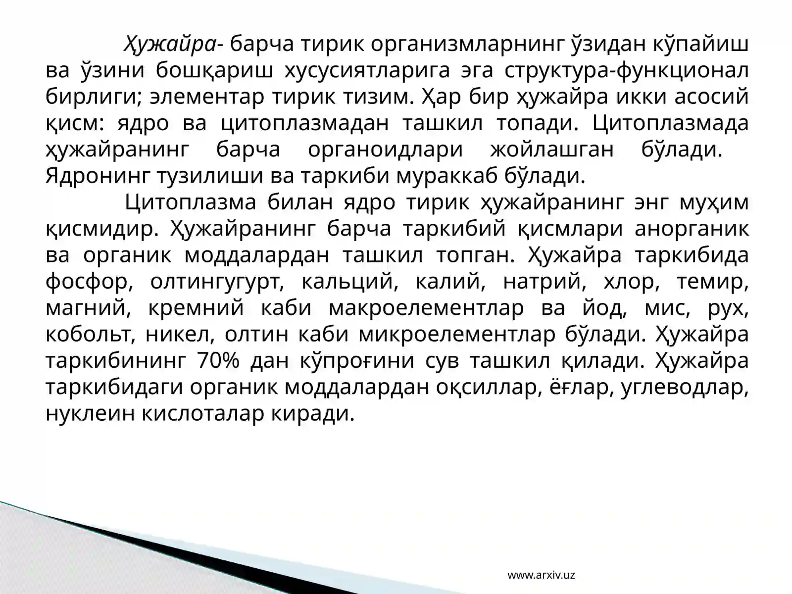 Preview 4