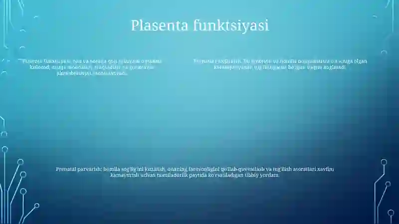 Preview 4