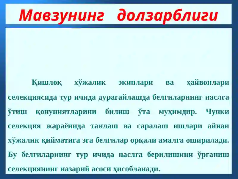 Preview 4