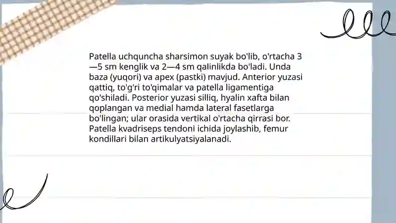 Preview 4