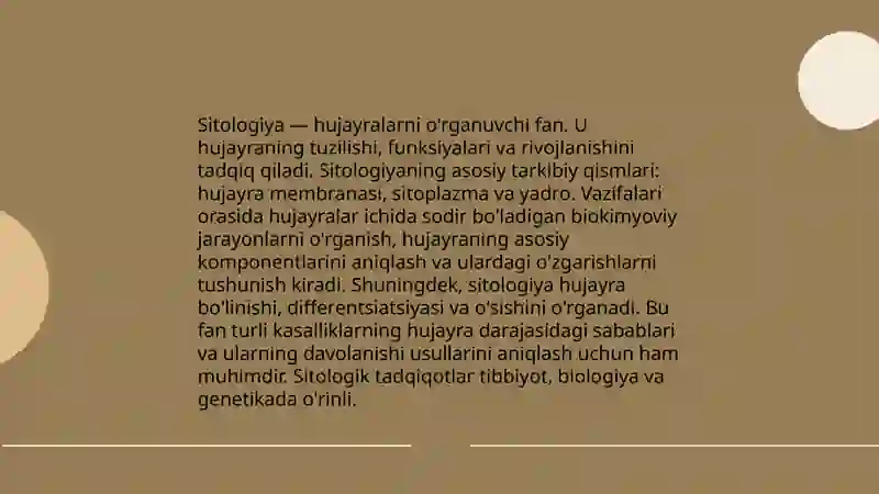 Preview 4