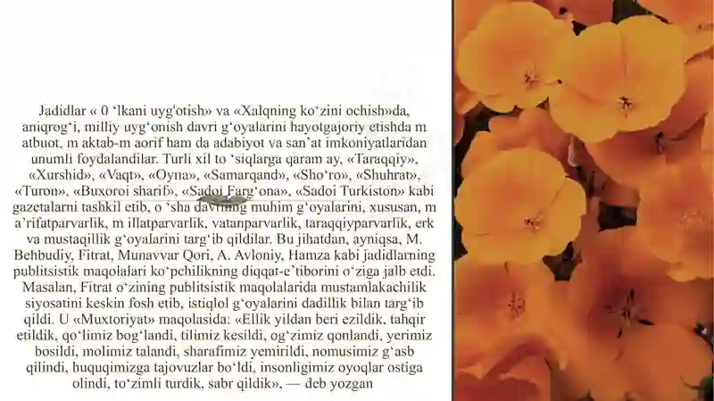Preview 4
