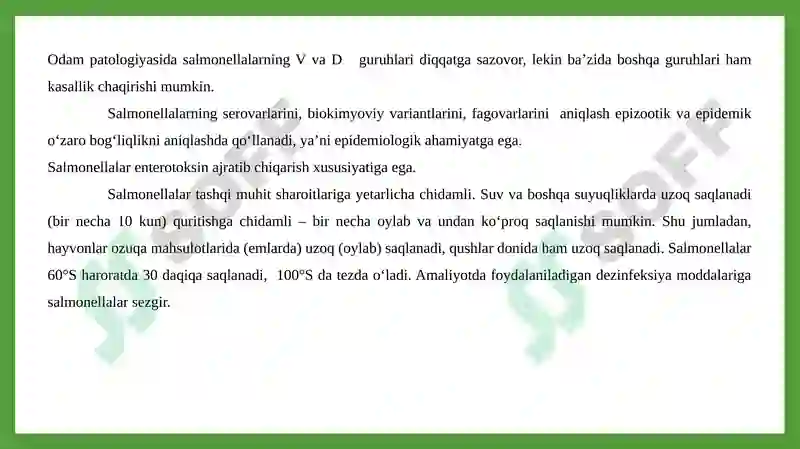 Preview 5