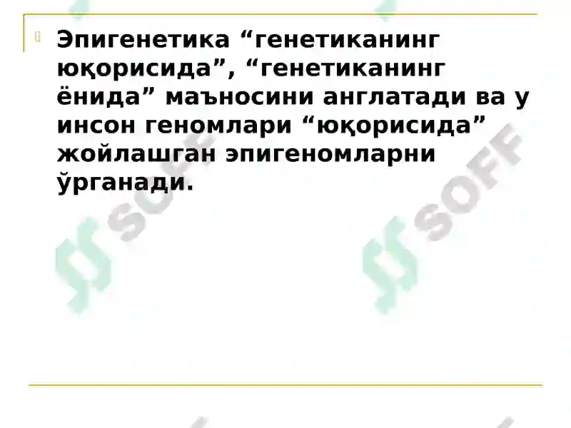 Preview 5